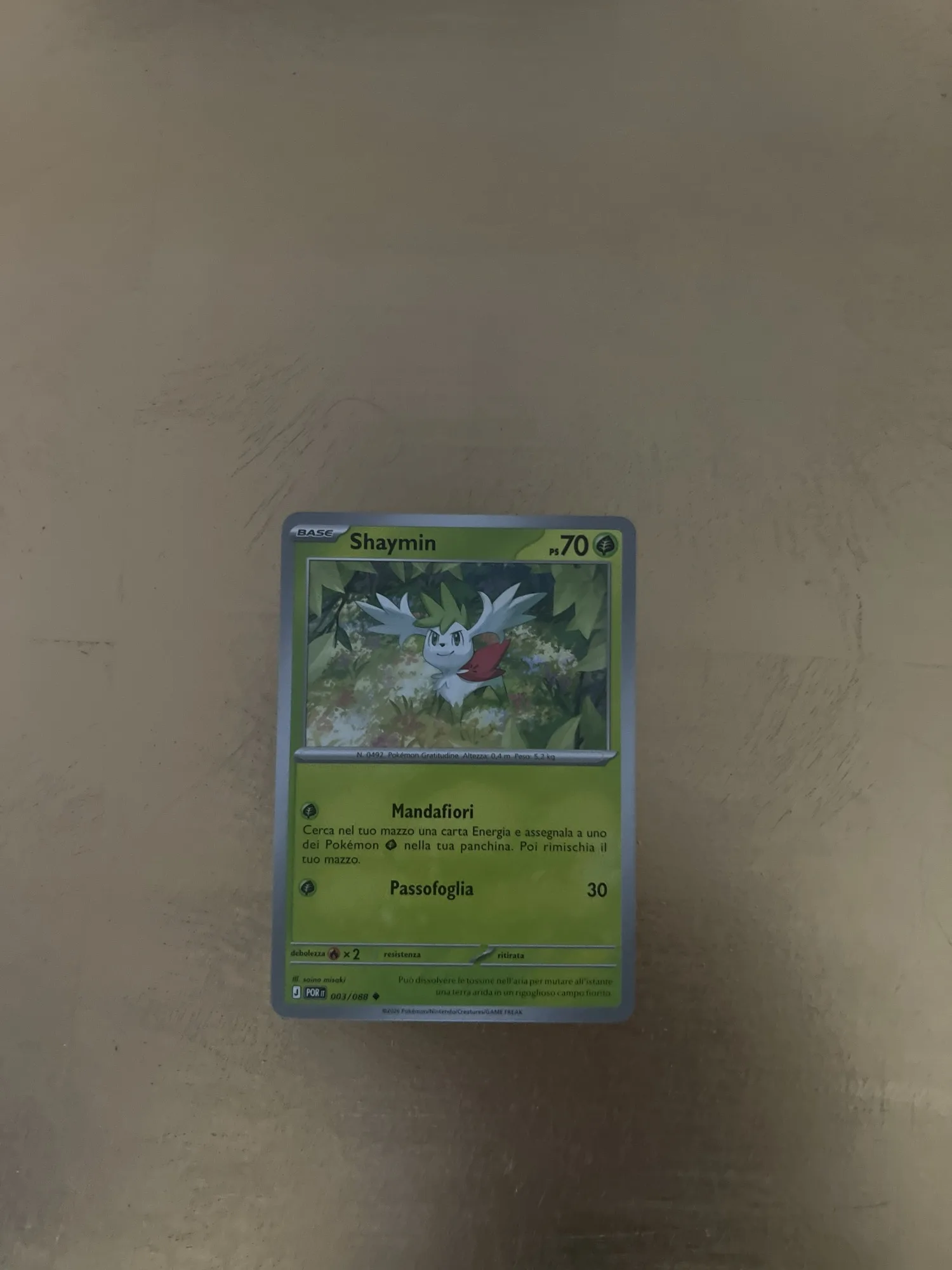 Carte Pokemon Shaymin